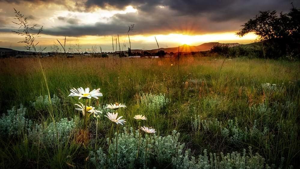 Wetlands Country House & Sheds Wakkerstroom Esterno foto