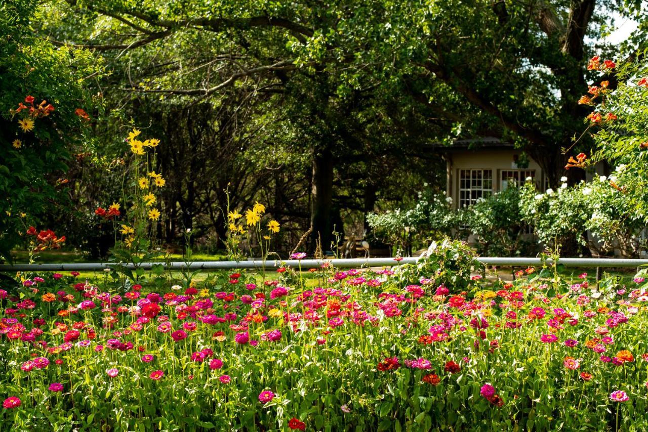 Wetlands Country House & Sheds Wakkerstroom Esterno foto