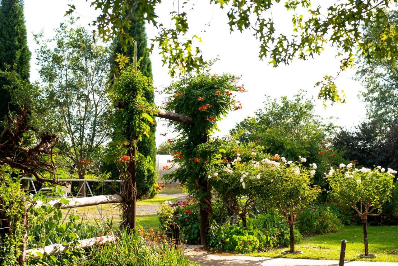 Wetlands Country House & Sheds Wakkerstroom Esterno foto